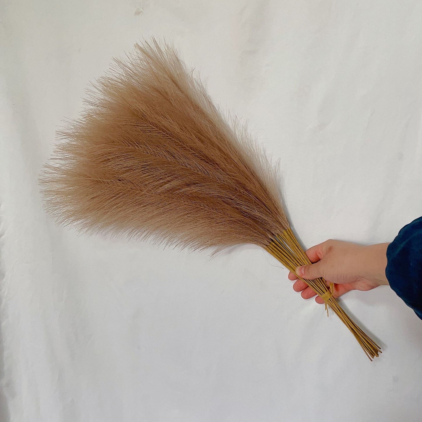 55cm Pampas Grass